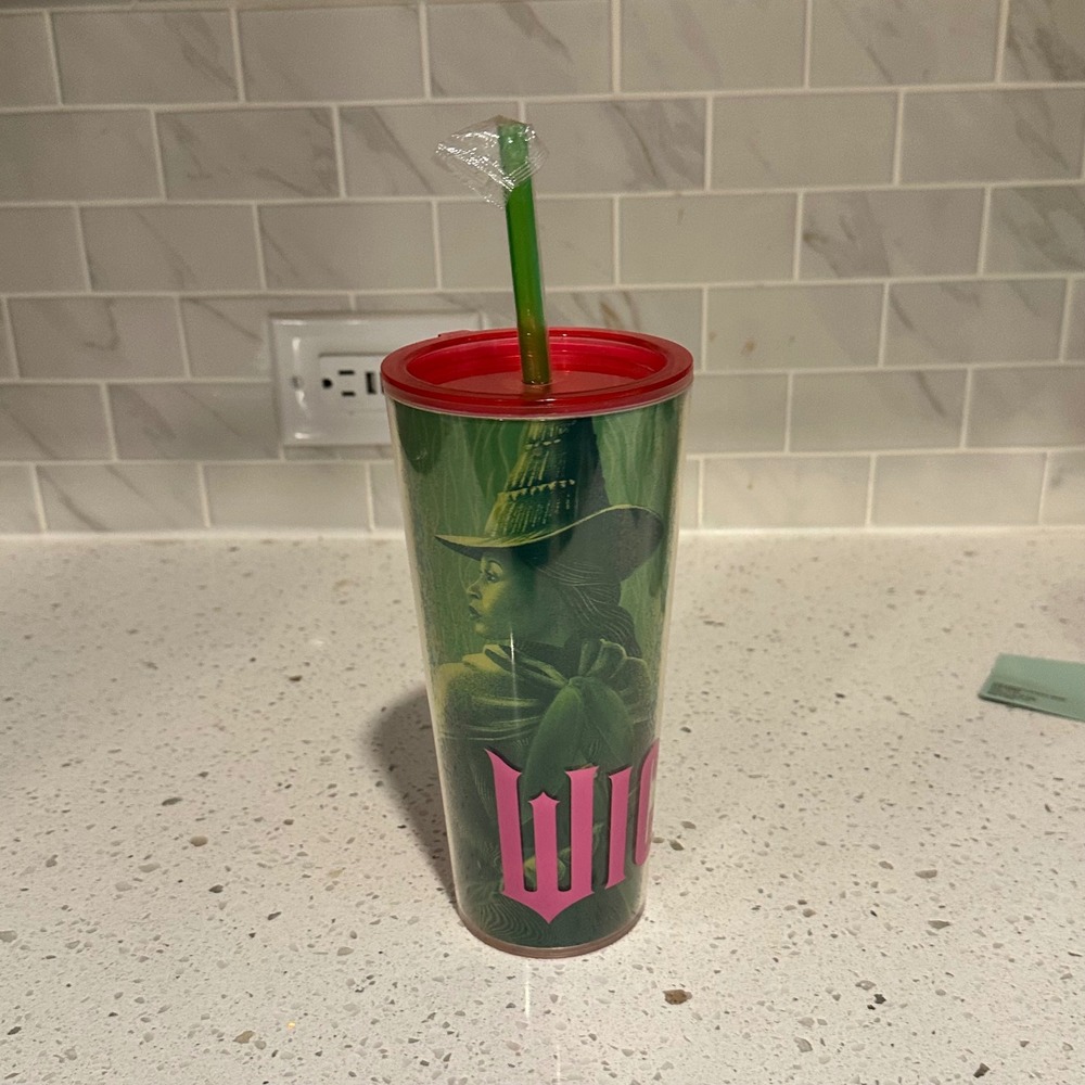 Wicked Movie Glinda Elphaba Acrylic Tumbler with Straw Pink Green Witches of Oz